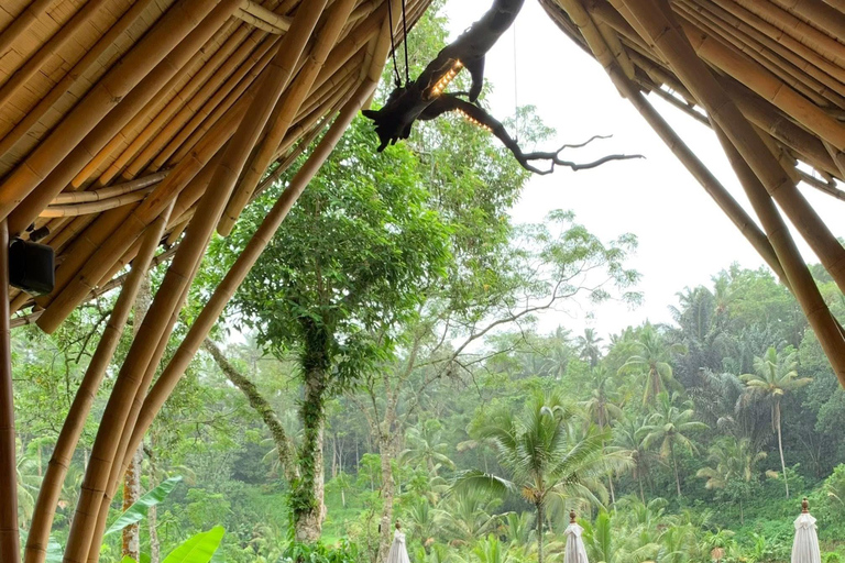 Ubud: Private Half-Day Tour Rice Terrace, Temple & Waterfall Private Ubud Half-Day Tour (Without Entrance Ticket)