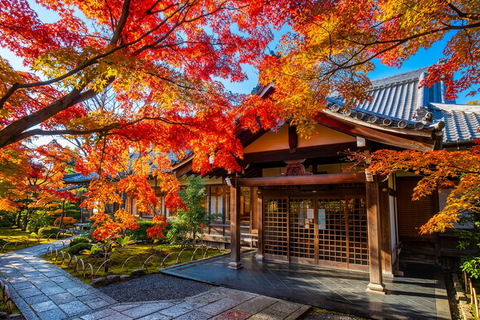 Osaka: Nara, Kyoto, and Arashiyama Day Trip with Train Ride Small Group (1–13 People, Meeting Point Pickup)