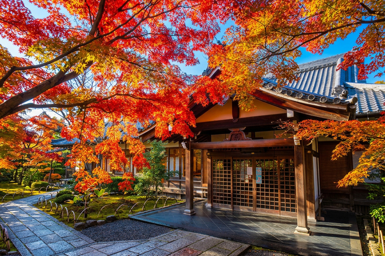 Osaka: Nara, Kyoto, and Arashiyama Day Trip with Train Ride Small Group (1–13 People, Meeting Point Pickup)