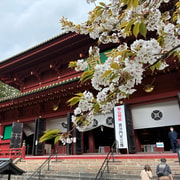 From Tokyo: Nikko and sano premium outlets tour