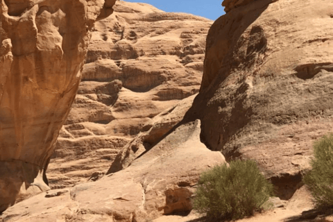 Deserto del Wadi Rum: Tour di un giorno in Jeep e pranzo tradizionale