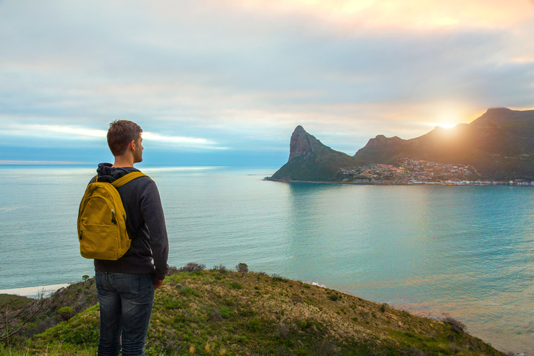 Table Mountain, Penguins & Cape of good hope full day Tour Private Tour for your group