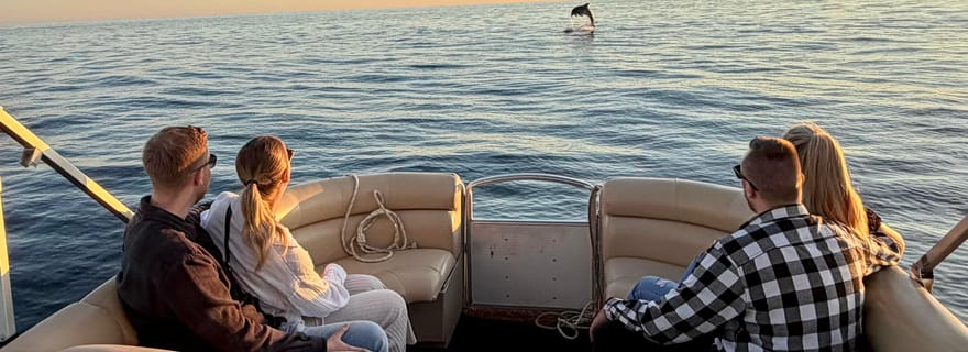 Excursions privées en bateau à Porec : observation des dauphins, panorama