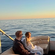 Private Bootsausflüge in Porec: Delfinbesichtigung, Panorama