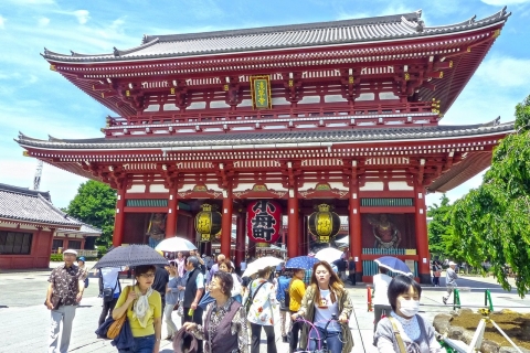 1 Day Tokyo Sightseeing Tour Private Wagon
