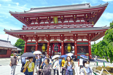 1 Day Tokyo Sightseeing Tour Private Wagon