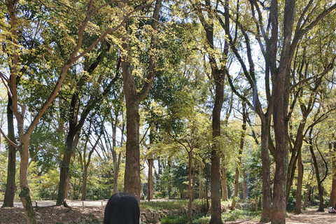 Kioto:Recorrido en Bicicleta por los Tres Jardines