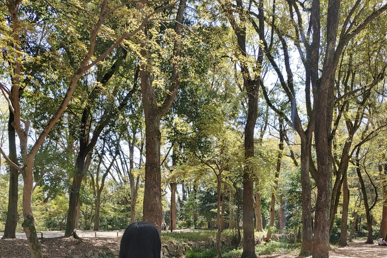 Kioto:Recorrido en Bicicleta por los Tres Jardines