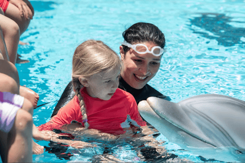 Cancun : Rencontre avec les dauphins