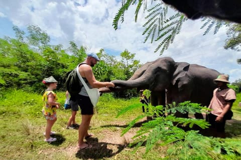 Phuket: Ethical Elephant Sanctuary Eco Guide Walk Tour