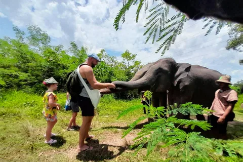 Phuket: Ethical Elephant Sanctuary Eco Guide Walk Tour