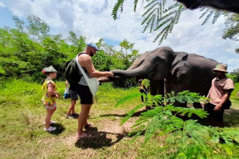 Phuket: Eco Guide Walking mit Ethical Elephant SanctuaryPhuket: Eco Guided Walk Tour mit Treffpunkt