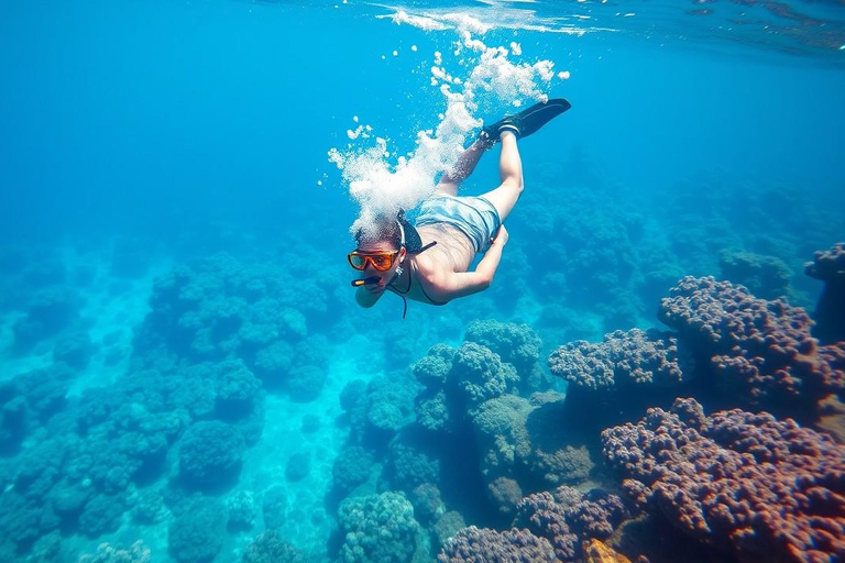 Zanzíbar: Tour de día completo Safari Azul con almuerzo y traslado