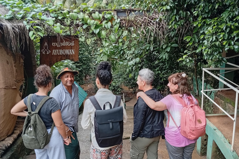 Kandy: Sigiriya Rock Fortress & Dambulla Cave Temple Tour