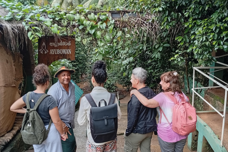 Kandy: Sigiriya Rock Fortress & Dambulla Cave Temple Tour