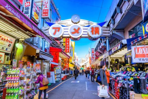 Tokyo Full Day Customizable Private Tour with English Guide