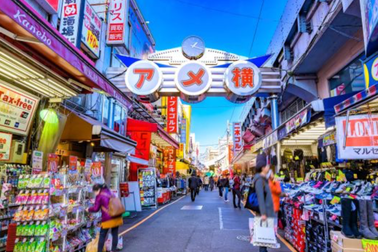 Tokyo Full Day Customizable Private Tour with English Guide