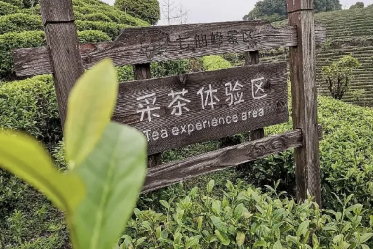 Yangshuo: Theeplantage en Xianggong heuvel halve dag tour