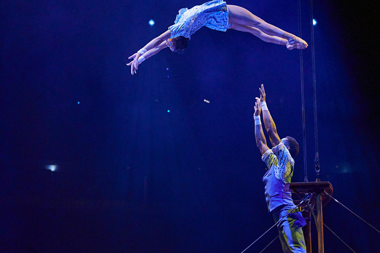 Cirque du Soleil LUDÕ — Vallarta Premium Balcony Experience: Show, Champagne, and Canapés