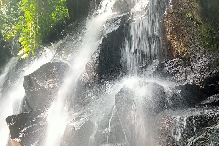 Bali Bathing Holy Spring Water or Purification