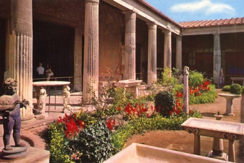 Vanuit Napels: dagtocht naar Pompeï en SorrentoItaliaanstalige tour met hotelophaalservice