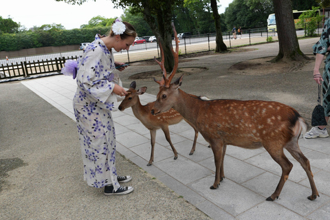 From Osaka/Kobe Port: Nara Private Tour with Guide & Driver Private Nara Tour for Maximum 5 Travelers in the Group