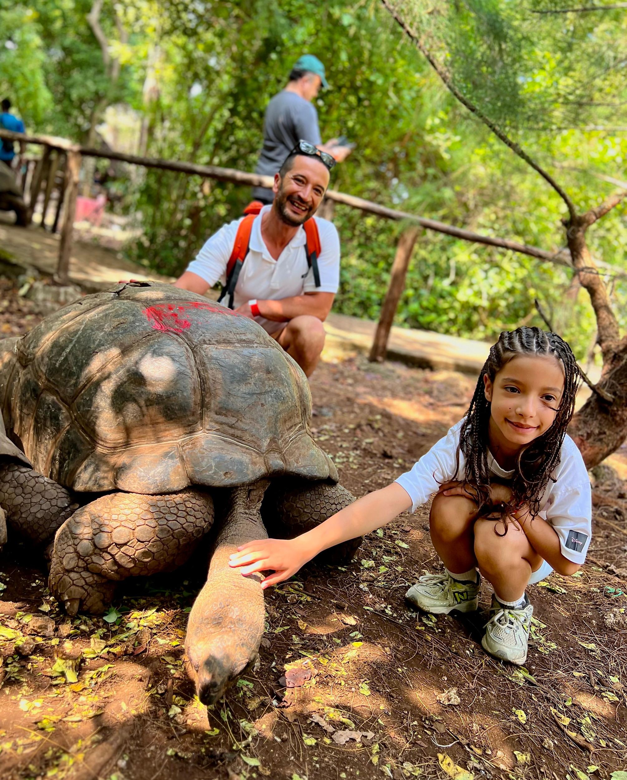 Sansibar: Gefängnis-Insel-Tour & Riesenschildkröten-Entdeckung