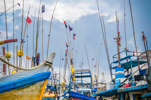 Depuis Colombo : Excursion d&#039;une journée tout compris à Galle