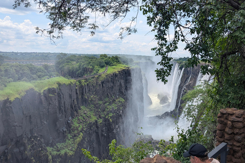 Victoria Falls Cross-Border Tour:Big Tree & Historic Bridge
