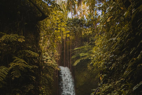 Ubud: Private Tour with Gunung Kawi Temple & Waterfall With Entry Tickets