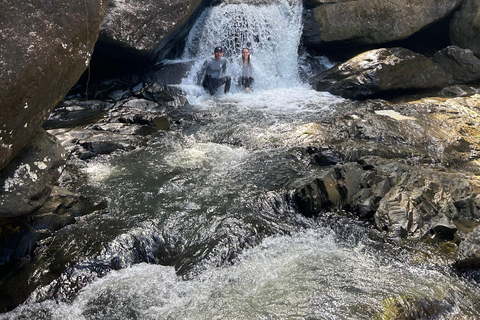 El Yunque &amp; Piñones Tour; Caminha, come e relaxa como um local