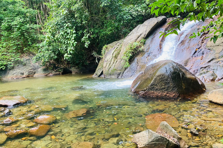 Phuket: Bamboo Rafting, ATV Ride, & Turtle Center Tour