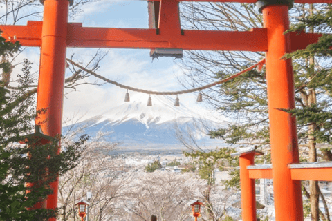 From Tokyo: Mount Fuji Private Customizable Tour with Guide