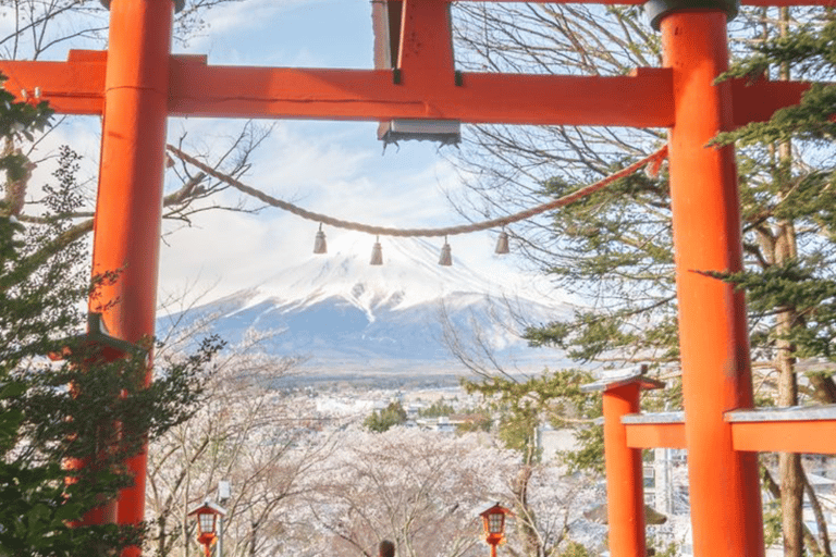 From Tokyo: Mount Fuji Private Customizable Tour with Guide
