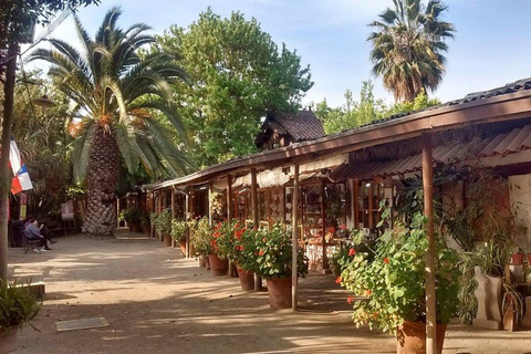 Santiago : visite privée de la ville avec le musée Neruda