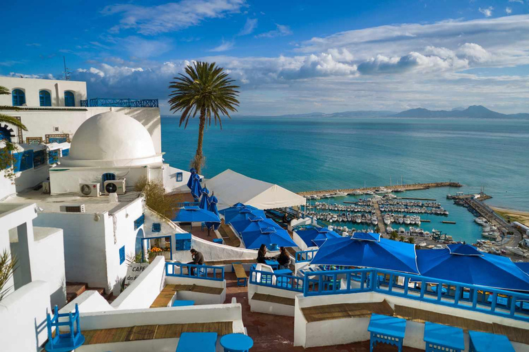 Monastir or Sousse: Tunis and Sidi Bou Said Day Trip
