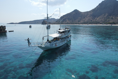 4 days komodo trip ( start from Bali )