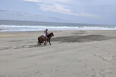 From Huatulco: Beach Horseback Riding Experience Regular Beach Horseback Riding Tour (2 hours)