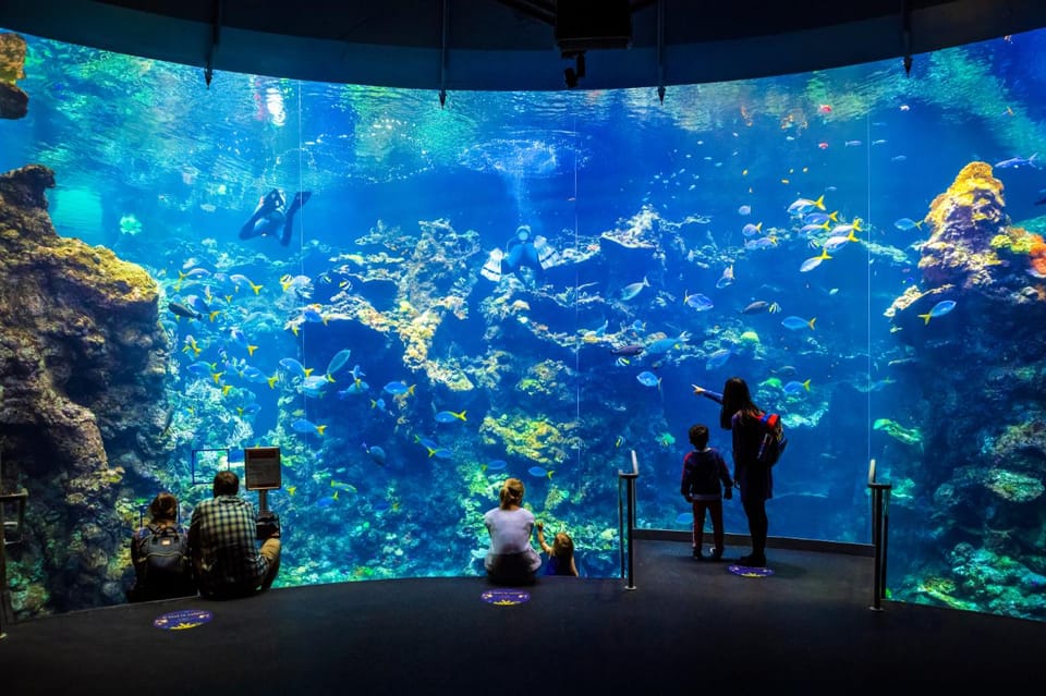 San Francisco: California Academy of Sciences Entry Ticket image 1