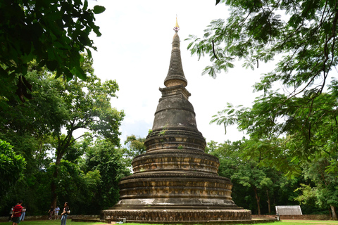 Chiang Mai: 4-godzinna wycieczka do Doi Suthep, Wat Umong i Wat Phalat