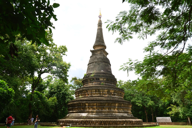 Chiang Mai: 4-timmars rundtur med Doi Suthep, Wat Umong och Wat Phalat