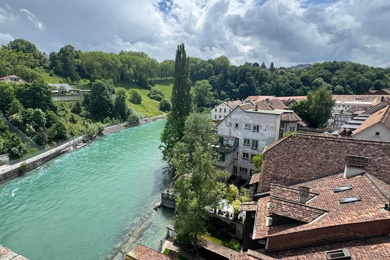 From Zurich: Private Day Trip to Bern’s Top Sights