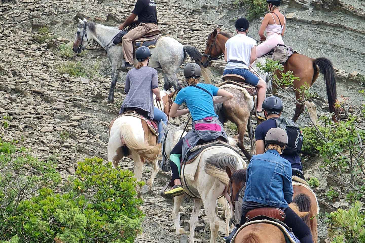 ペルメット ヴィオサ国立公園 ホーストレッキング体験