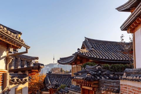 Seúl: tour a pie por el barrio de BukchonPrivate Tour Option