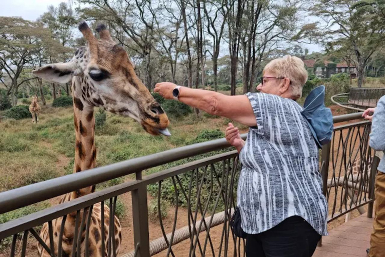 Nairobi: National Park, Elephant Orphanage & Giraffe Center