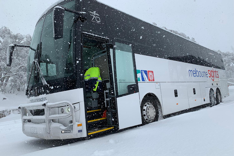 From Melbourne: Day Tour to Mt Buller with Snow Clothes