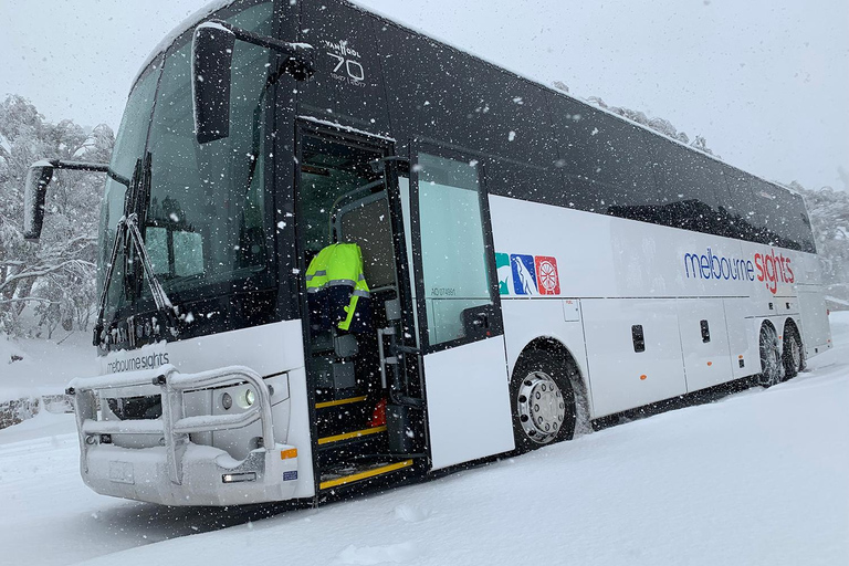 From Melbourne: Day Tour to Mt Buller with Snow Clothes