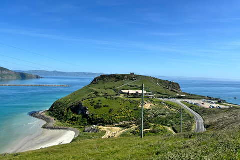 Dunedin City & Otago Peninsula Scenery Day Tour Private Tour