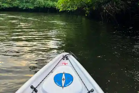 Havelock: Bioluminescence and Mangrove Kayaking Tour