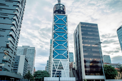 Best of Sao Paulo Highlights Private Guided Tour By Car 3-hour: Old Town Tour & Transport